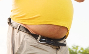 la función de la grasa abdominal